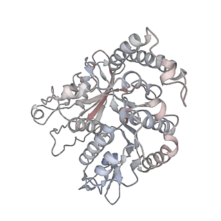24664_7rro_QA_v1-2
Structure of the 48-nm repeat doublet microtubule from bovine tracheal cilia