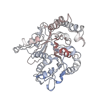 24664_7rro_QB_v1-2
Structure of the 48-nm repeat doublet microtubule from bovine tracheal cilia