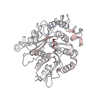 24664_7rro_QC_v1-2
Structure of the 48-nm repeat doublet microtubule from bovine tracheal cilia