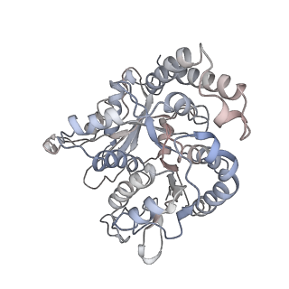 24664_7rro_QD_v1-2
Structure of the 48-nm repeat doublet microtubule from bovine tracheal cilia