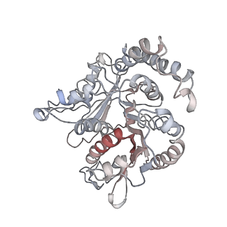 24664_7rro_QF_v1-2
Structure of the 48-nm repeat doublet microtubule from bovine tracheal cilia