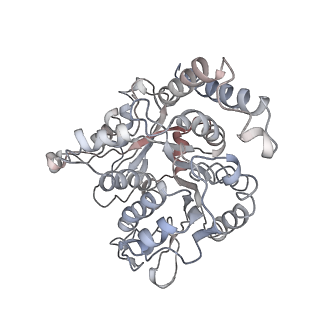 24664_7rro_QJ_v1-2
Structure of the 48-nm repeat doublet microtubule from bovine tracheal cilia