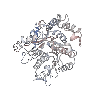 24664_7rro_QK_v1-2
Structure of the 48-nm repeat doublet microtubule from bovine tracheal cilia