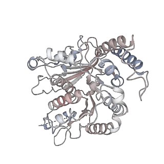 24664_7rro_RA_v1-2
Structure of the 48-nm repeat doublet microtubule from bovine tracheal cilia