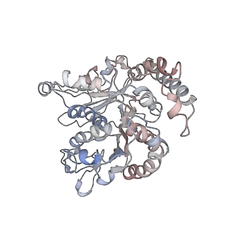 24664_7rro_RB_v1-2
Structure of the 48-nm repeat doublet microtubule from bovine tracheal cilia