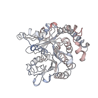 24664_7rro_RH_v1-2
Structure of the 48-nm repeat doublet microtubule from bovine tracheal cilia
