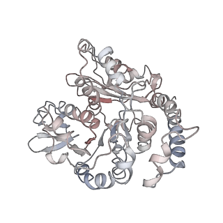 24664_7rro_TB_v1-2
Structure of the 48-nm repeat doublet microtubule from bovine tracheal cilia