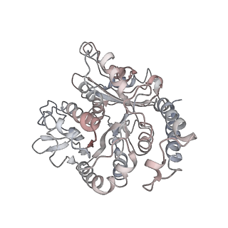24664_7rro_TD_v1-2
Structure of the 48-nm repeat doublet microtubule from bovine tracheal cilia