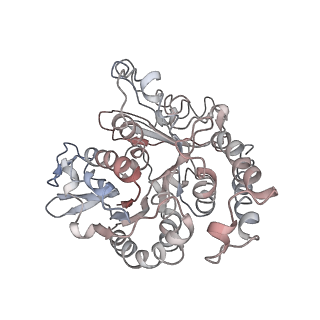 24664_7rro_TH_v1-2
Structure of the 48-nm repeat doublet microtubule from bovine tracheal cilia