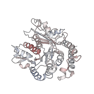 24664_7rro_TI_v1-2
Structure of the 48-nm repeat doublet microtubule from bovine tracheal cilia