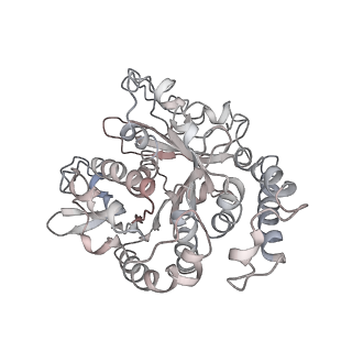24664_7rro_TJ_v1-2
Structure of the 48-nm repeat doublet microtubule from bovine tracheal cilia