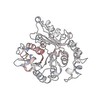 24664_7rro_TL_v1-2
Structure of the 48-nm repeat doublet microtubule from bovine tracheal cilia