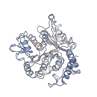 24664_7rro_UD_v1-2
Structure of the 48-nm repeat doublet microtubule from bovine tracheal cilia