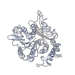 24664_7rro_UF_v1-2
Structure of the 48-nm repeat doublet microtubule from bovine tracheal cilia
