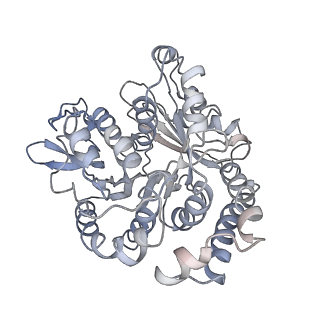 24664_7rro_UJ_v1-2
Structure of the 48-nm repeat doublet microtubule from bovine tracheal cilia