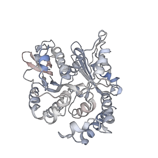 24664_7rro_VB_v1-2
Structure of the 48-nm repeat doublet microtubule from bovine tracheal cilia