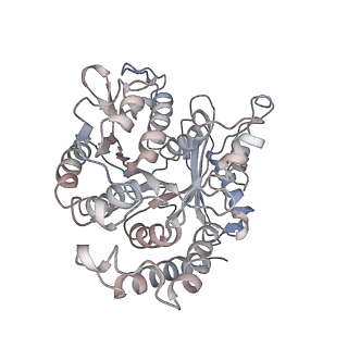 24664_7rro_WD_v1-2
Structure of the 48-nm repeat doublet microtubule from bovine tracheal cilia