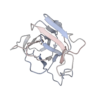 24664_7rro_XA_v1-2
Structure of the 48-nm repeat doublet microtubule from bovine tracheal cilia