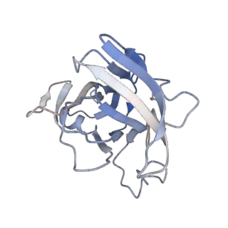 24664_7rro_XE_v1-2
Structure of the 48-nm repeat doublet microtubule from bovine tracheal cilia