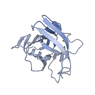 24664_7rro_XG_v1-2
Structure of the 48-nm repeat doublet microtubule from bovine tracheal cilia