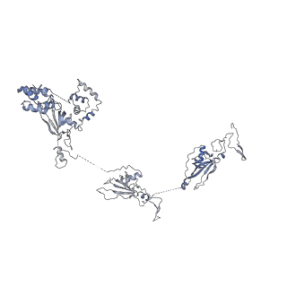 24664_7rro_X_v1-2
Structure of the 48-nm repeat doublet microtubule from bovine tracheal cilia