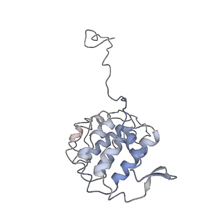 24664_7rro_YB_v1-2
Structure of the 48-nm repeat doublet microtubule from bovine tracheal cilia