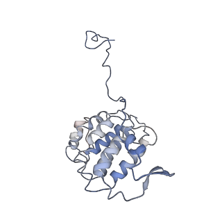 24664_7rro_YD_v1-2
Structure of the 48-nm repeat doublet microtubule from bovine tracheal cilia