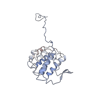 24664_7rro_YE_v1-2
Structure of the 48-nm repeat doublet microtubule from bovine tracheal cilia