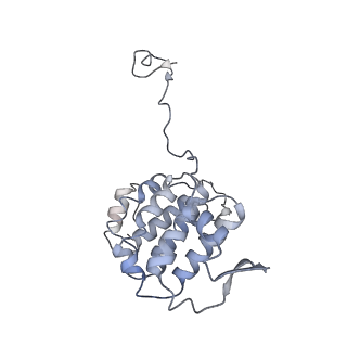 24664_7rro_YG_v1-2
Structure of the 48-nm repeat doublet microtubule from bovine tracheal cilia