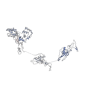 24664_7rro_Y_v1-2
Structure of the 48-nm repeat doublet microtubule from bovine tracheal cilia