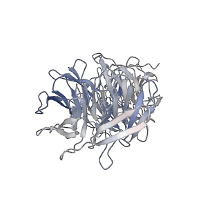 24664_7rro_e_v1-2
Structure of the 48-nm repeat doublet microtubule from bovine tracheal cilia