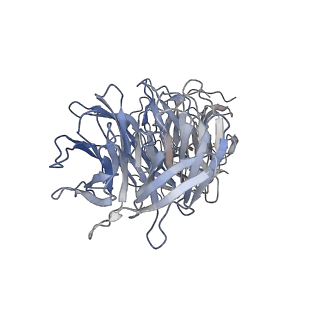 24664_7rro_g_v1-2
Structure of the 48-nm repeat doublet microtubule from bovine tracheal cilia