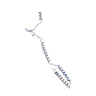 24664_7rro_h_v1-2
Structure of the 48-nm repeat doublet microtubule from bovine tracheal cilia