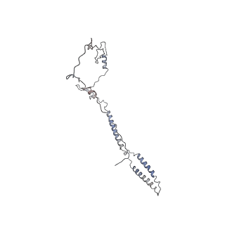 24664_7rro_i_v1-2
Structure of the 48-nm repeat doublet microtubule from bovine tracheal cilia
