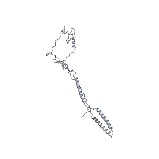 24664_7rro_j_v1-2
Structure of the 48-nm repeat doublet microtubule from bovine tracheal cilia
