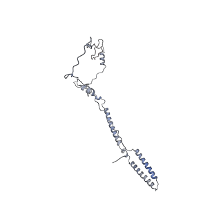 24664_7rro_k_v1-2
Structure of the 48-nm repeat doublet microtubule from bovine tracheal cilia