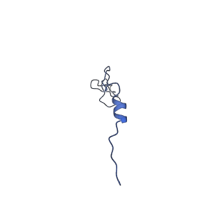 24664_7rro_y_v1-2
Structure of the 48-nm repeat doublet microtubule from bovine tracheal cilia