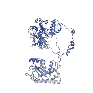 4986_6rr7_A_v1-4
Influenza A virus (A/NT/60/1968) polymerase Heterotrimer bound to 3'5' vRNA promoter and capped RNA primer