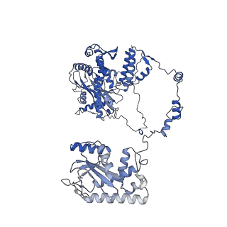 4986_6rr7_A_v2-0
Influenza A virus (A/NT/60/1968) polymerase Heterotrimer bound to 3'5' vRNA promoter and capped RNA primer