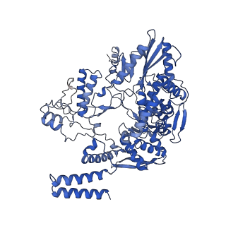 4986_6rr7_B_v1-4
Influenza A virus (A/NT/60/1968) polymerase Heterotrimer bound to 3'5' vRNA promoter and capped RNA primer