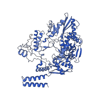 4986_6rr7_B_v2-0
Influenza A virus (A/NT/60/1968) polymerase Heterotrimer bound to 3'5' vRNA promoter and capped RNA primer