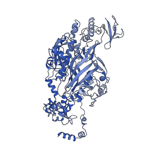 4986_6rr7_C_v1-4
Influenza A virus (A/NT/60/1968) polymerase Heterotrimer bound to 3'5' vRNA promoter and capped RNA primer