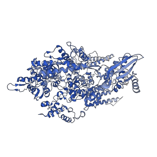4987_6rrd_A_v1-1
RNA Polymerase I Pre-initiation complex DNA opening intermediate 1
