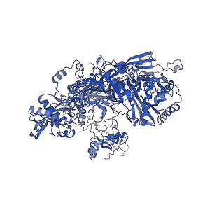 4987_6rrd_B_v1-1
RNA Polymerase I Pre-initiation complex DNA opening intermediate 1