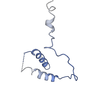 4987_6rrd_D_v1-1
RNA Polymerase I Pre-initiation complex DNA opening intermediate 1