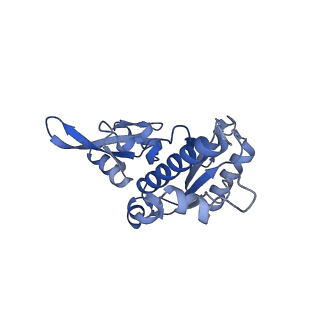 4987_6rrd_E_v1-1
RNA Polymerase I Pre-initiation complex DNA opening intermediate 1