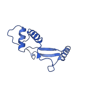 4987_6rrd_F_v1-1
RNA Polymerase I Pre-initiation complex DNA opening intermediate 1