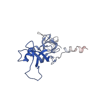 4987_6rrd_G_v1-1
RNA Polymerase I Pre-initiation complex DNA opening intermediate 1