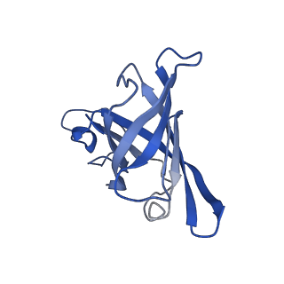 4987_6rrd_H_v1-1
RNA Polymerase I Pre-initiation complex DNA opening intermediate 1