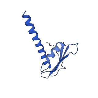 4987_6rrd_K_v1-1
RNA Polymerase I Pre-initiation complex DNA opening intermediate 1